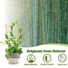Avalution Bamboo Trellis set against a garden background