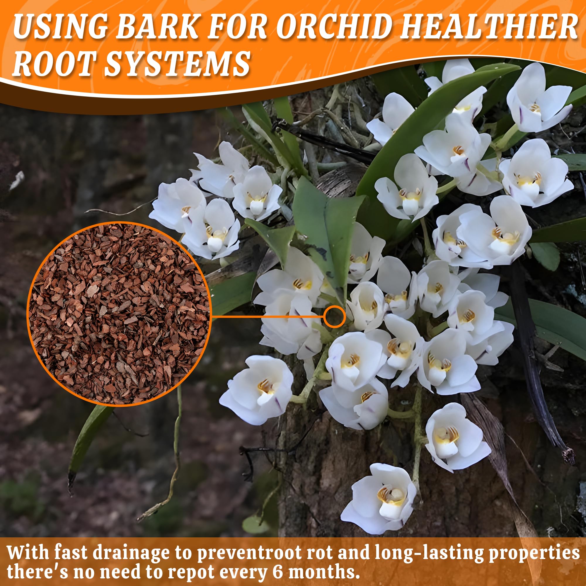 Avalution Orchid Potting Bark 3QT in a planting pot with orchids