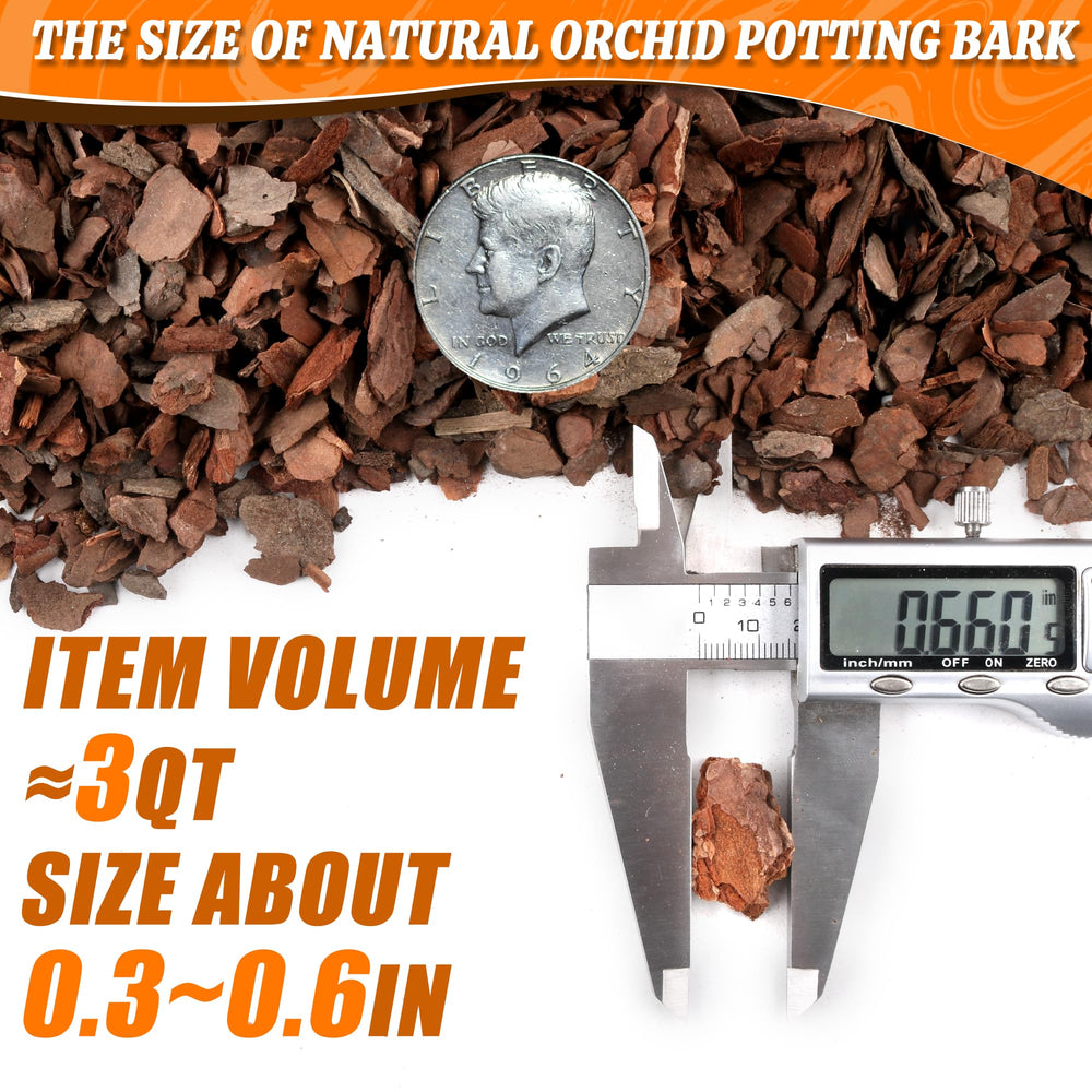 Avalution Orchid Potting Bark 3QT showing texture and size