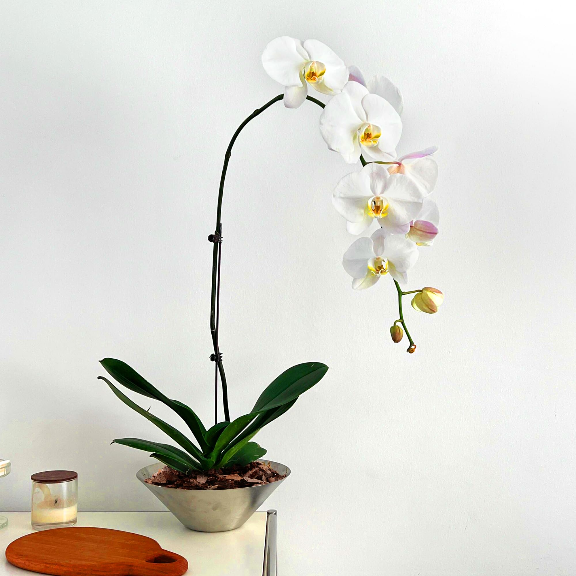 Avalution Orchid Potting Bark packaging details