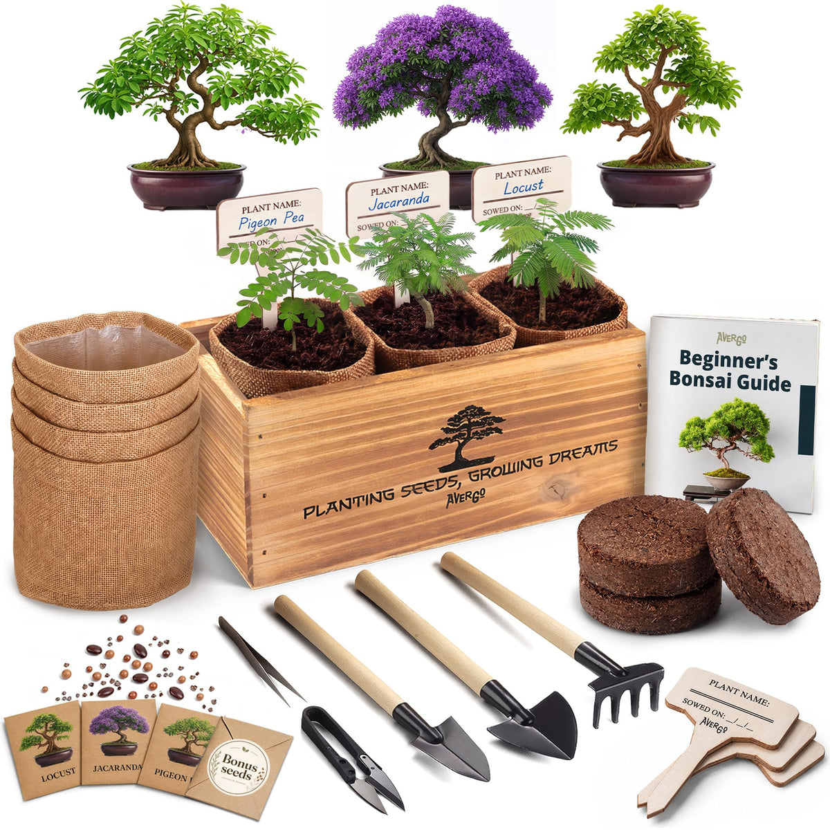 AVERGO Bonsai Tree Kit Classic packaging front view