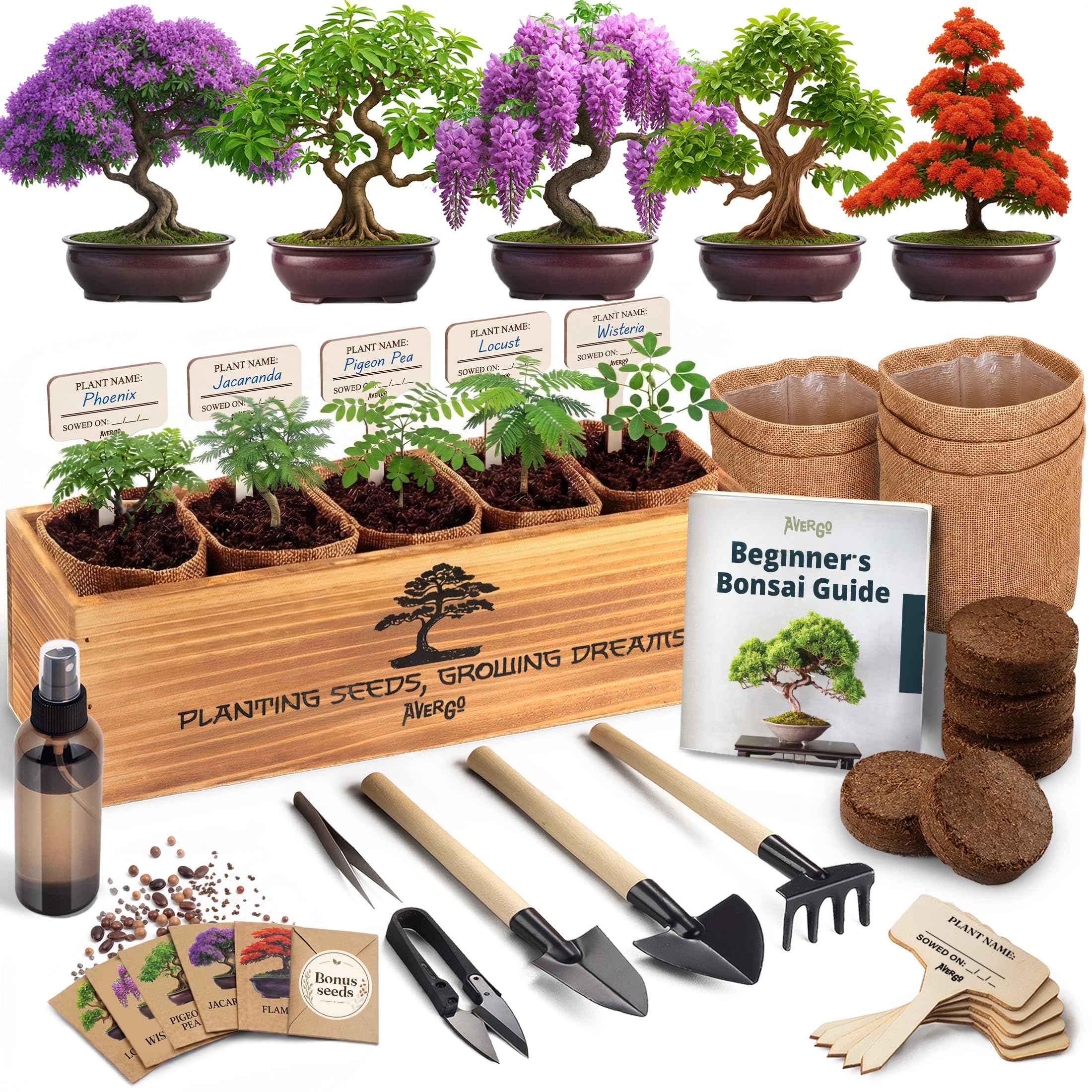AVERGO Bonsai Tree Kit Classic packaging with tools and seeds