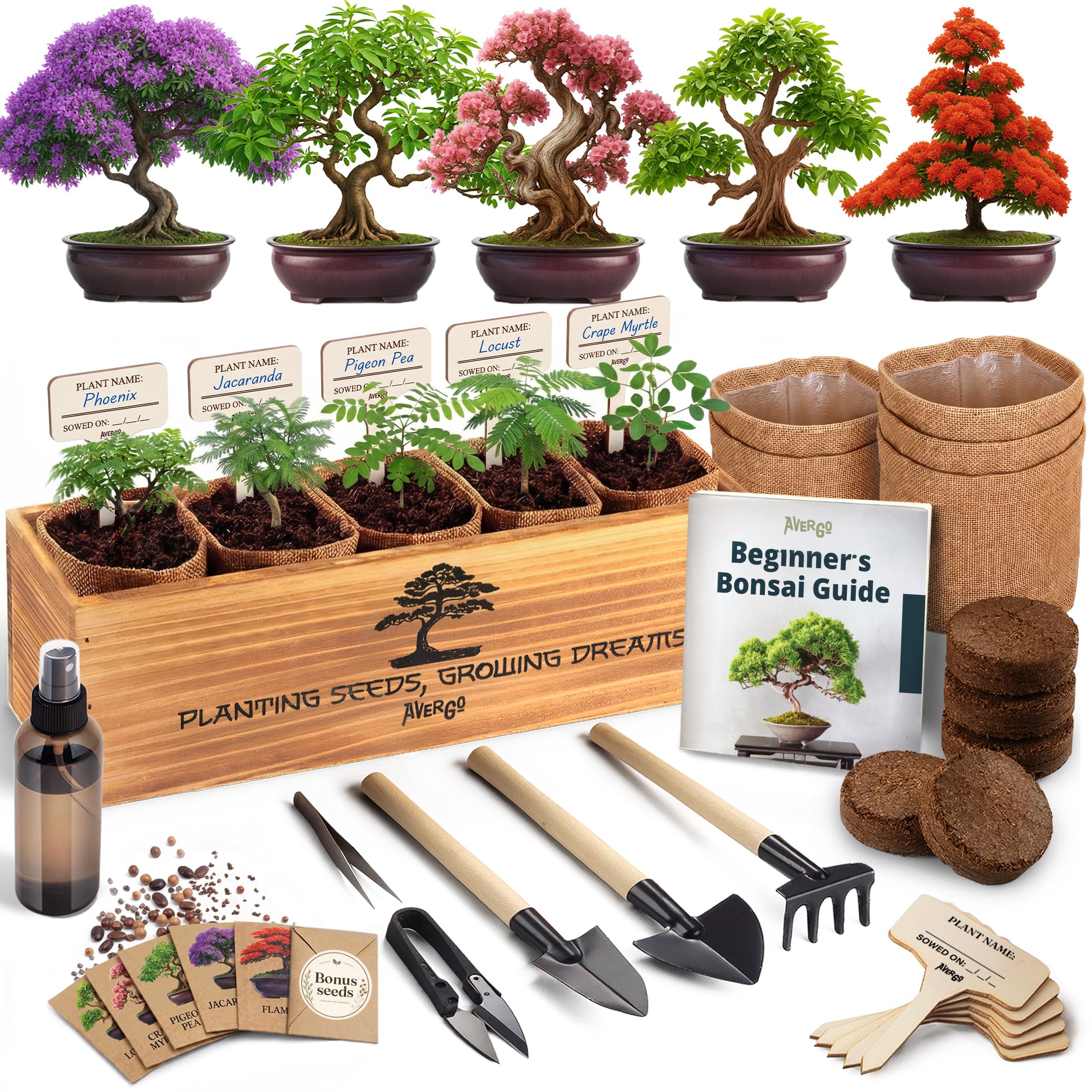 AVERGO Bonsai Tree Kit Deluxe front view with tools and seed packets