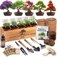 AVERGO Bonsai Tree Kit Deluxe front view with tools and seed packets