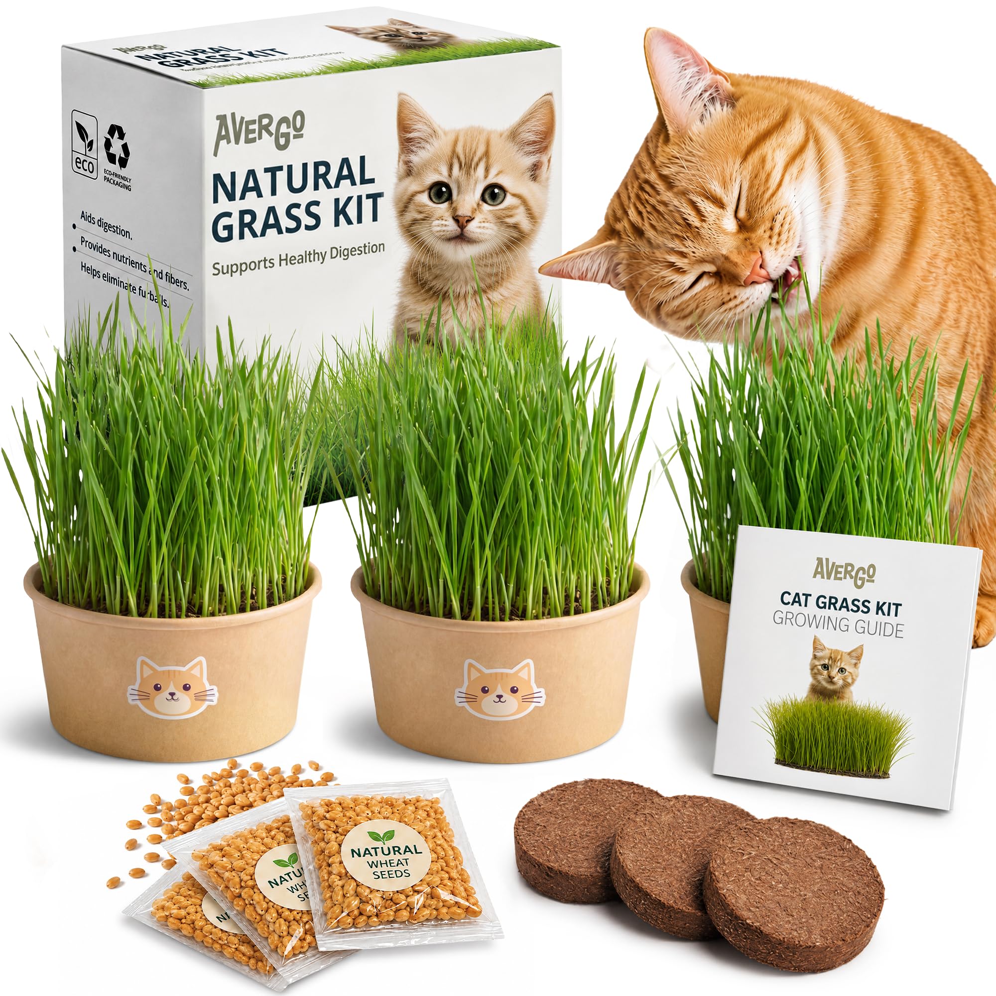 AVERGO Cat Grass Kit includes seed packets and planting materials