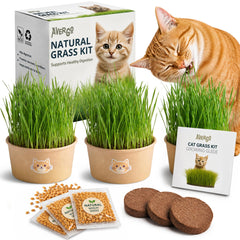AVERGO Cat Grass Kit includes seed packets and planting materials