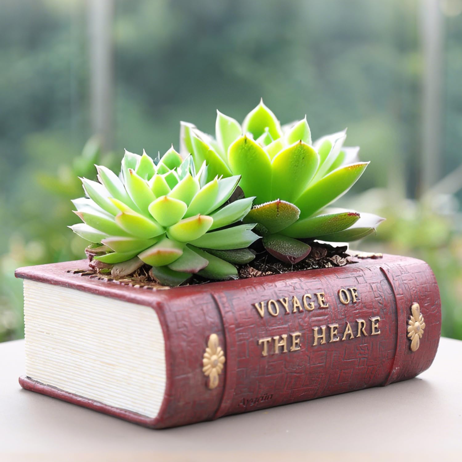 Aygrün Vintage Book Planter with a succulent arrangement
