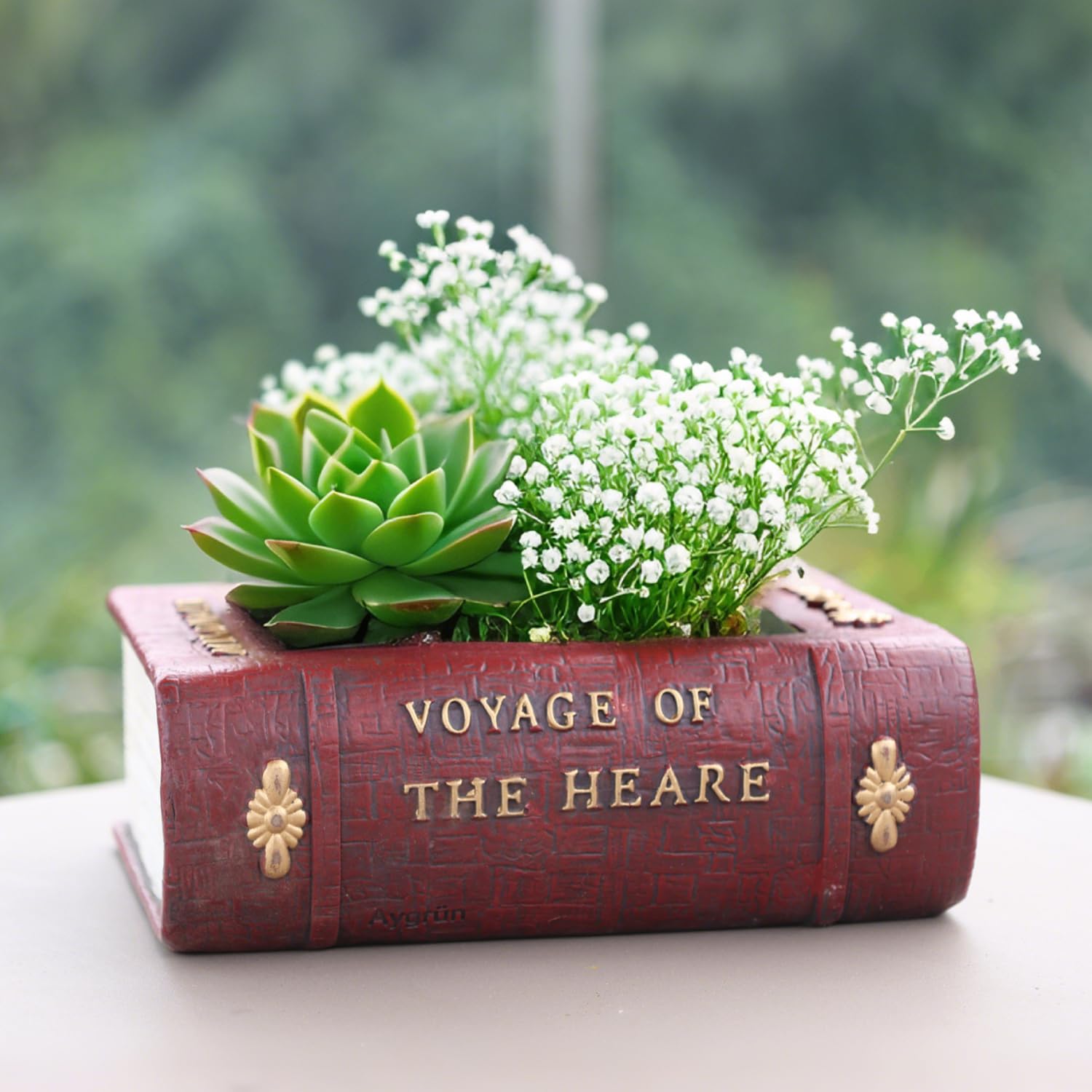 Aygrün Vintage Book Planter with drainage hole