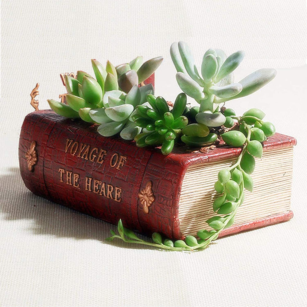 Aygrün Vintage Book Shaped Succulent Pot front view