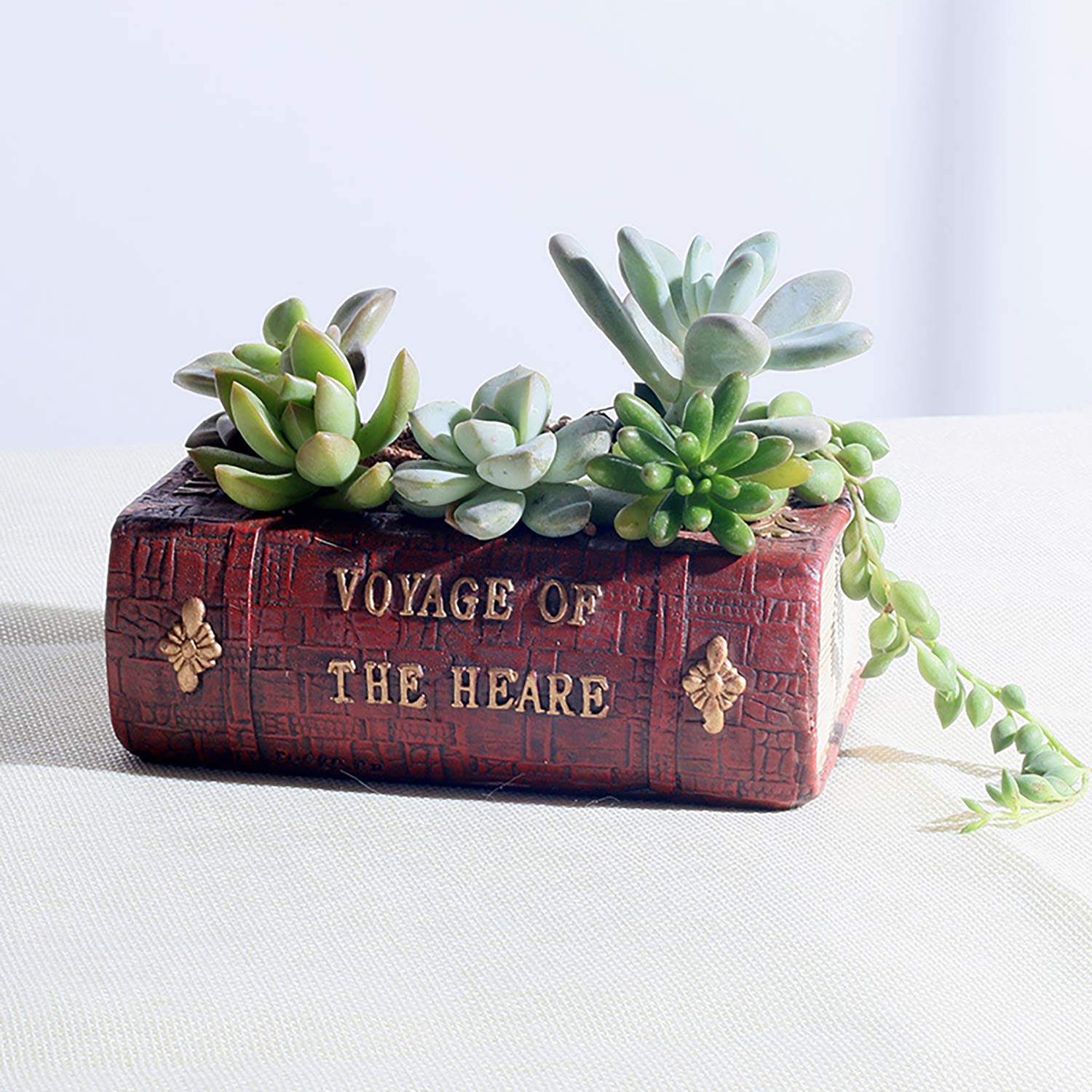 Aygrün Vintage Book Shaped Succulent Pot in a cozy home setting