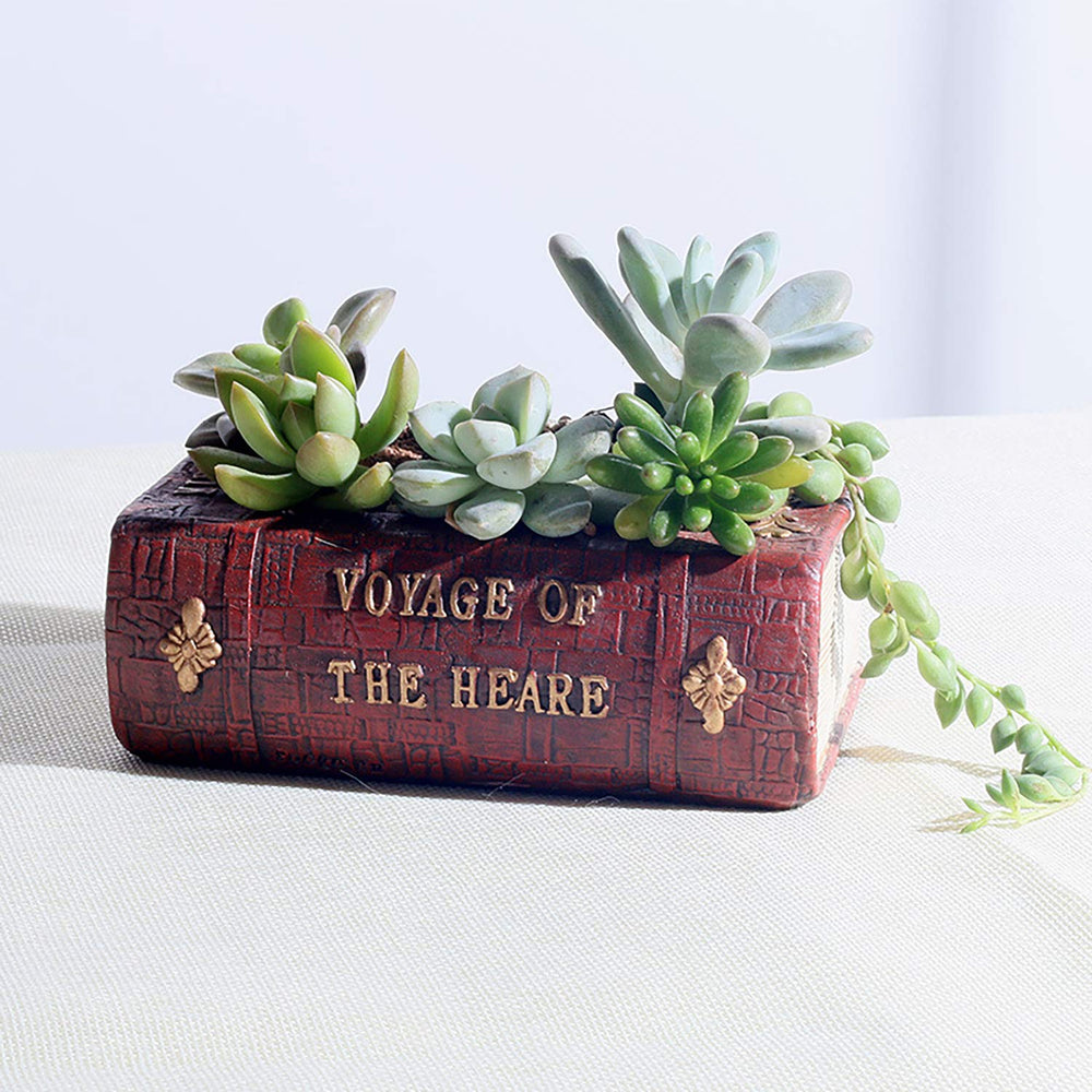 Aygrün Vintage Book Shaped Succulent Pot in a cozy home setting