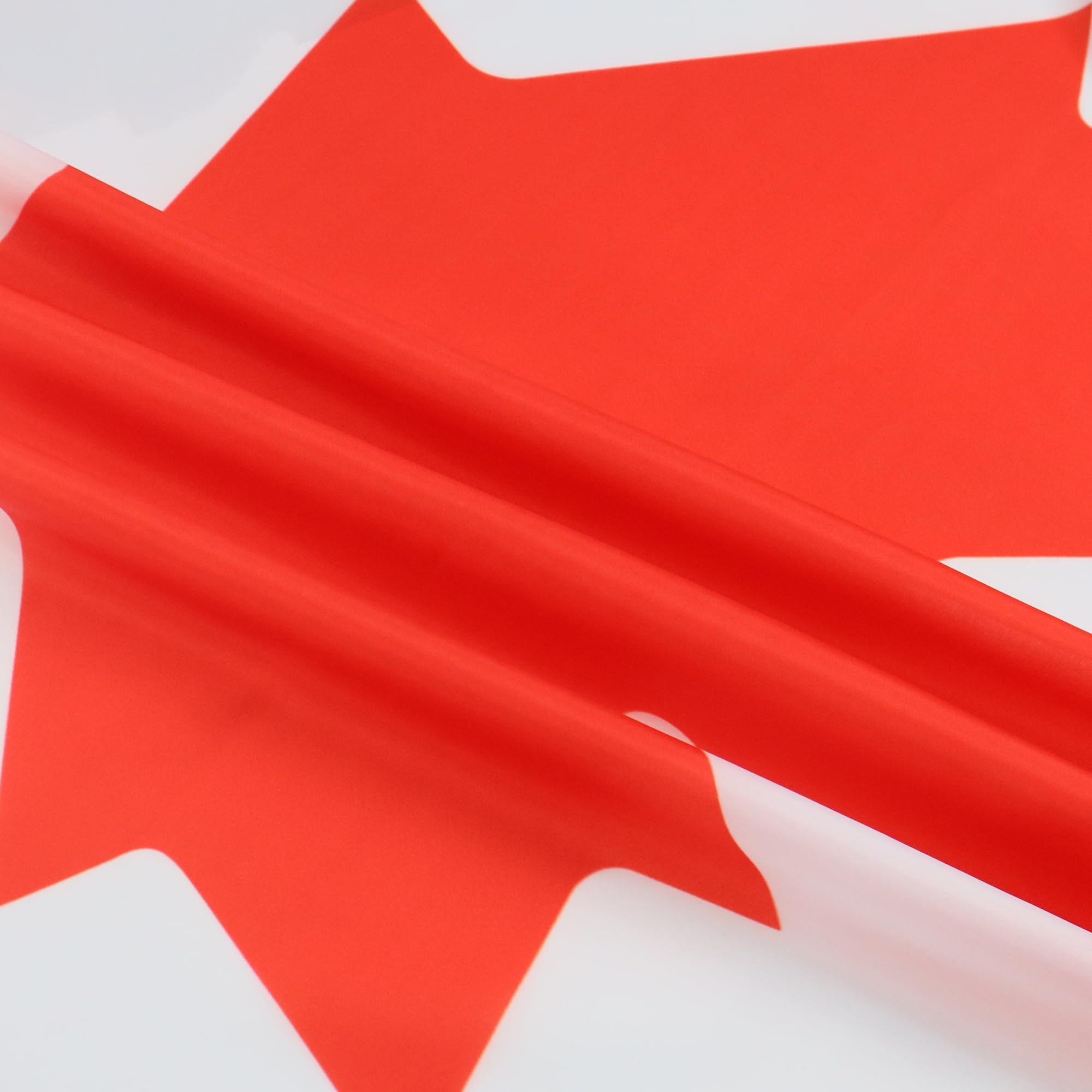 AZ FLAG Canada Flag 5x8 ft displayed outdoors
