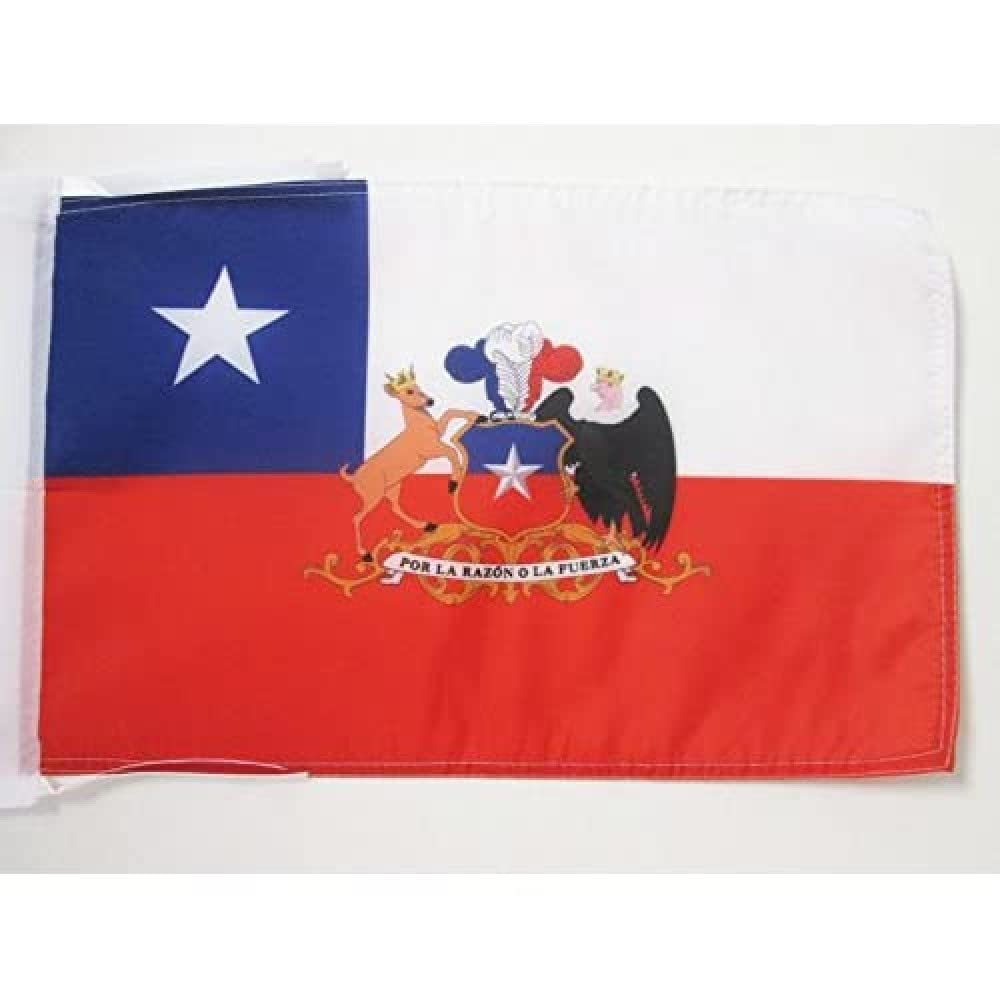 AZ FLAG Chile Flag 45x30 cm with arms, front view