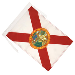 AZ FLAG Florida Flag 12x18 hanging with cord