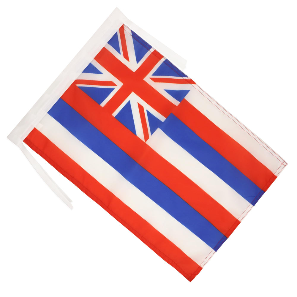 AZ FLAG Hawaii Flag 12x18 inches back view showing reinforced edges
