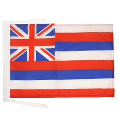 AZ FLAG Hawaii Flag 12x18 inches front view with cords