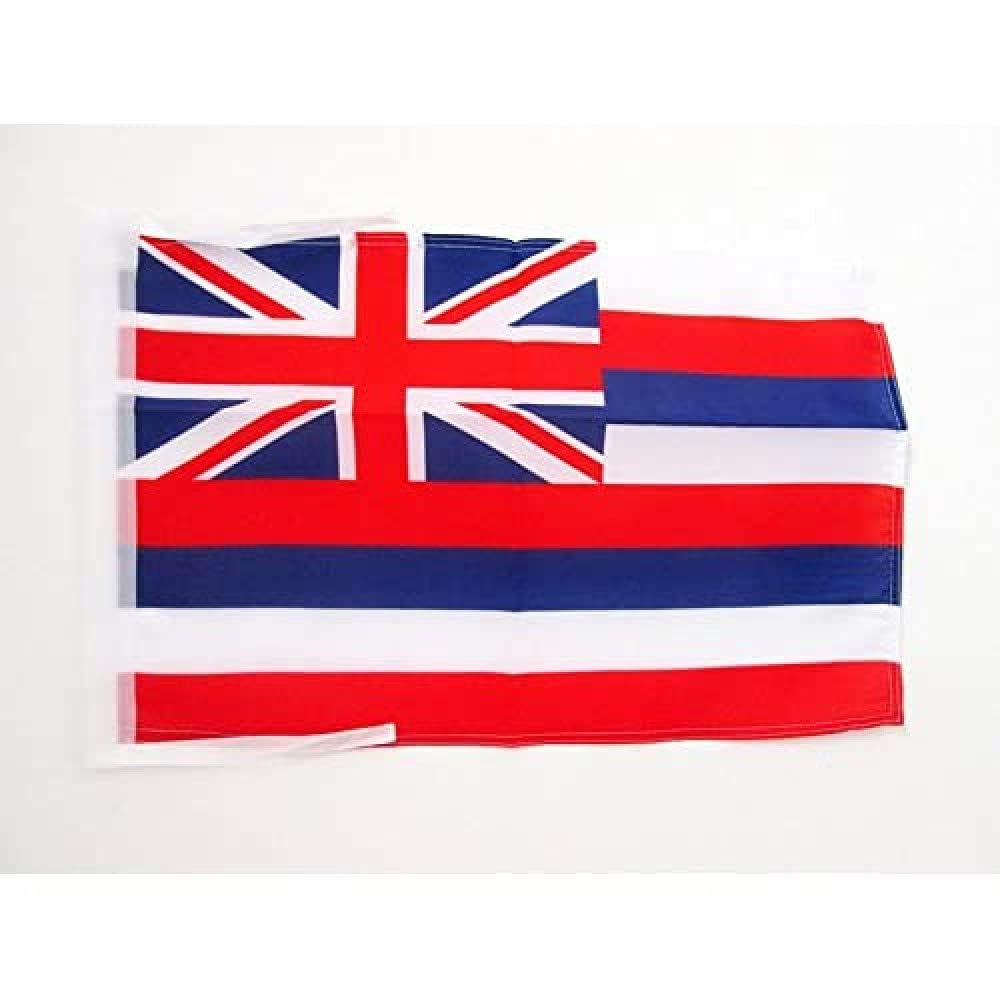 AZ FLAG Hawaii Flag 12x18 inches in polybag packaging