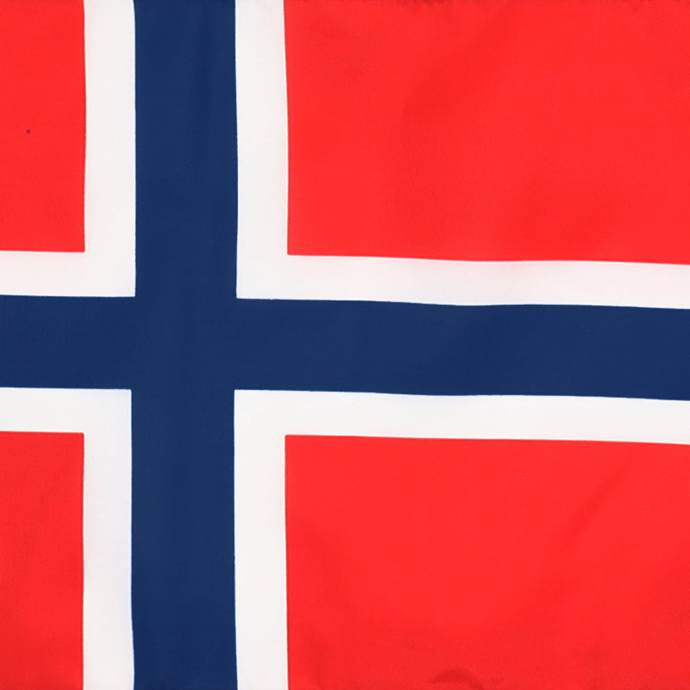 AZ FLAG Norway Flag hanging with cords