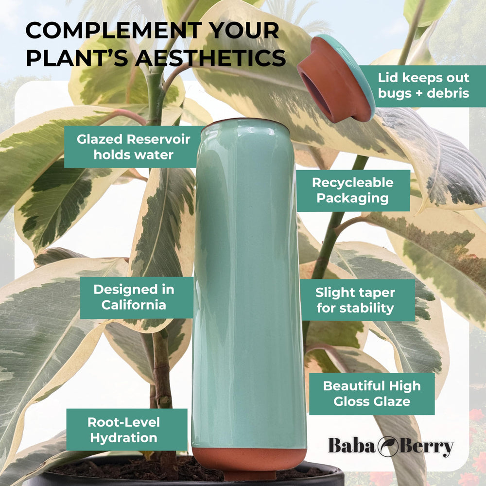 BabaBerry Terracotta Watering Spike with wooden root spreading dibber