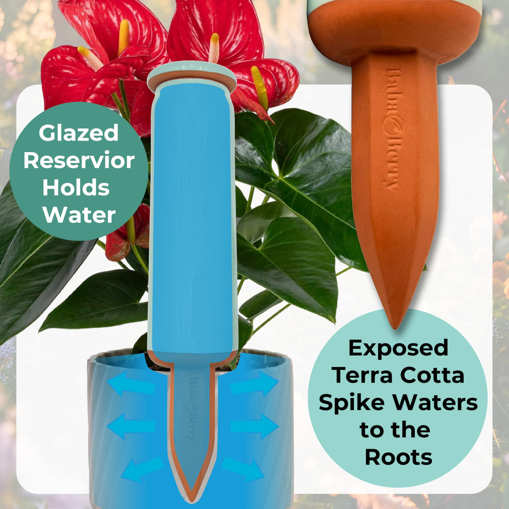 BabaBerry Terracotta Watering Spikes in outdoor garden setting