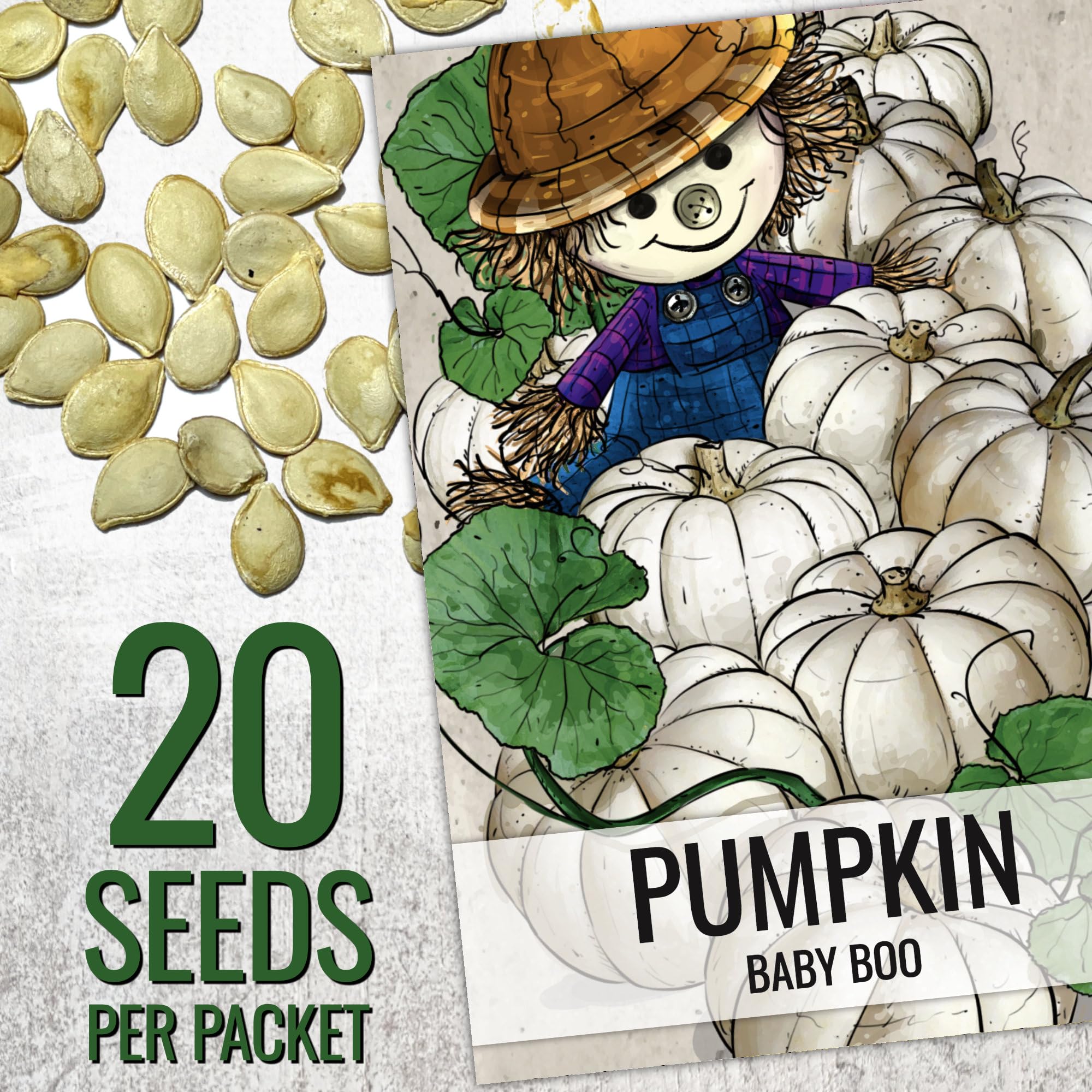 Baby Boo pumpkin seeds in Seed Needs packaging