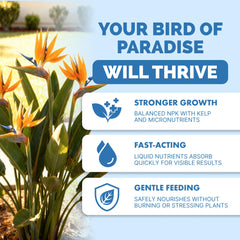 Back label of TPS NUTRIENTS Bird of Paradise Fertilizer