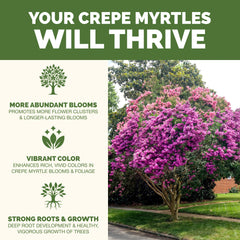 Back label of TPS NUTRIENTS Crepe Myrtle Fertilizer showing ingredients