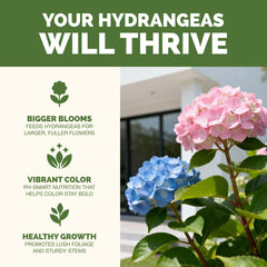 Back label of TPS NUTRIENTS Hydrangea Fertilizer showing instructions