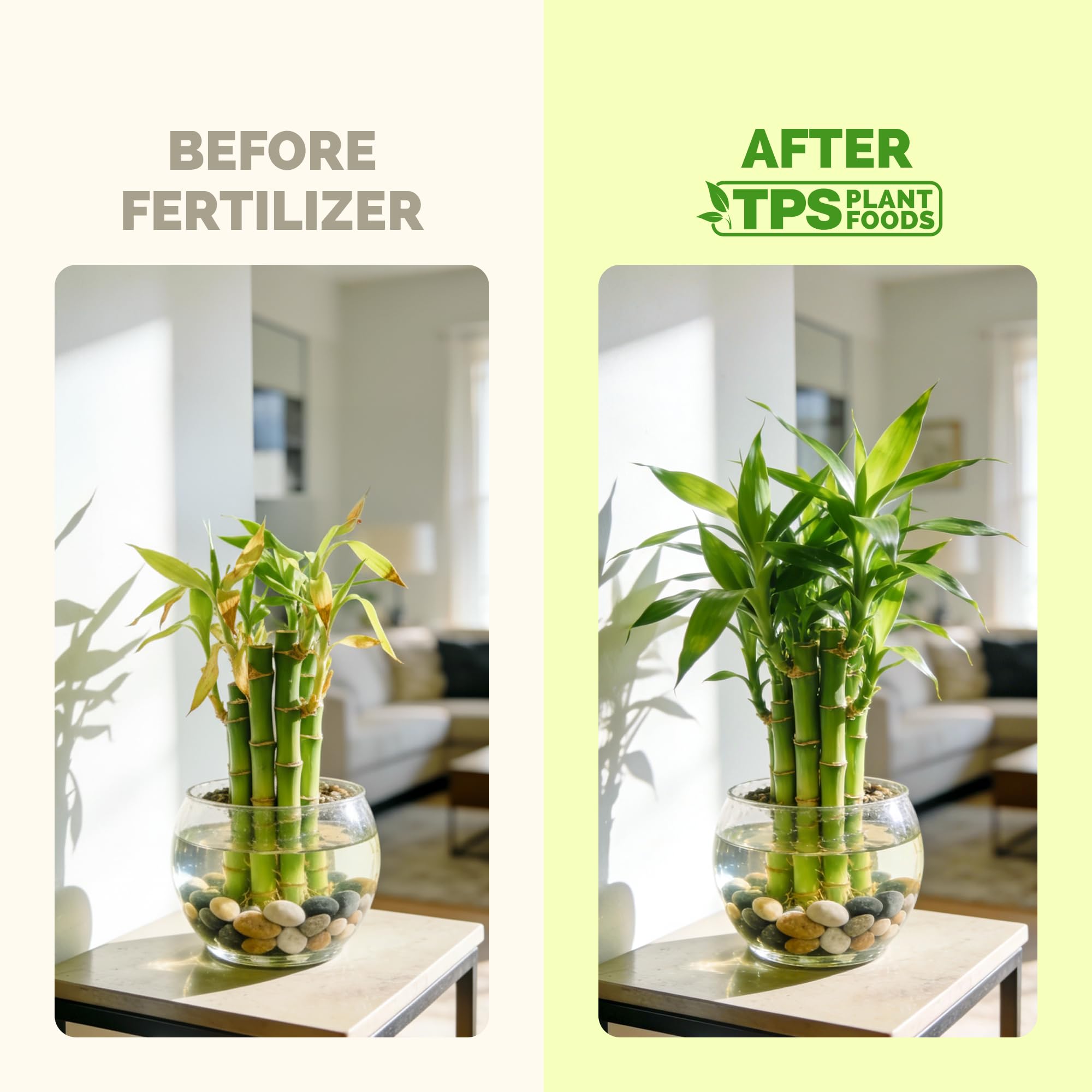Back label of TPS NUTRIENTS Lucky Bamboo Fertilizer 8 oz