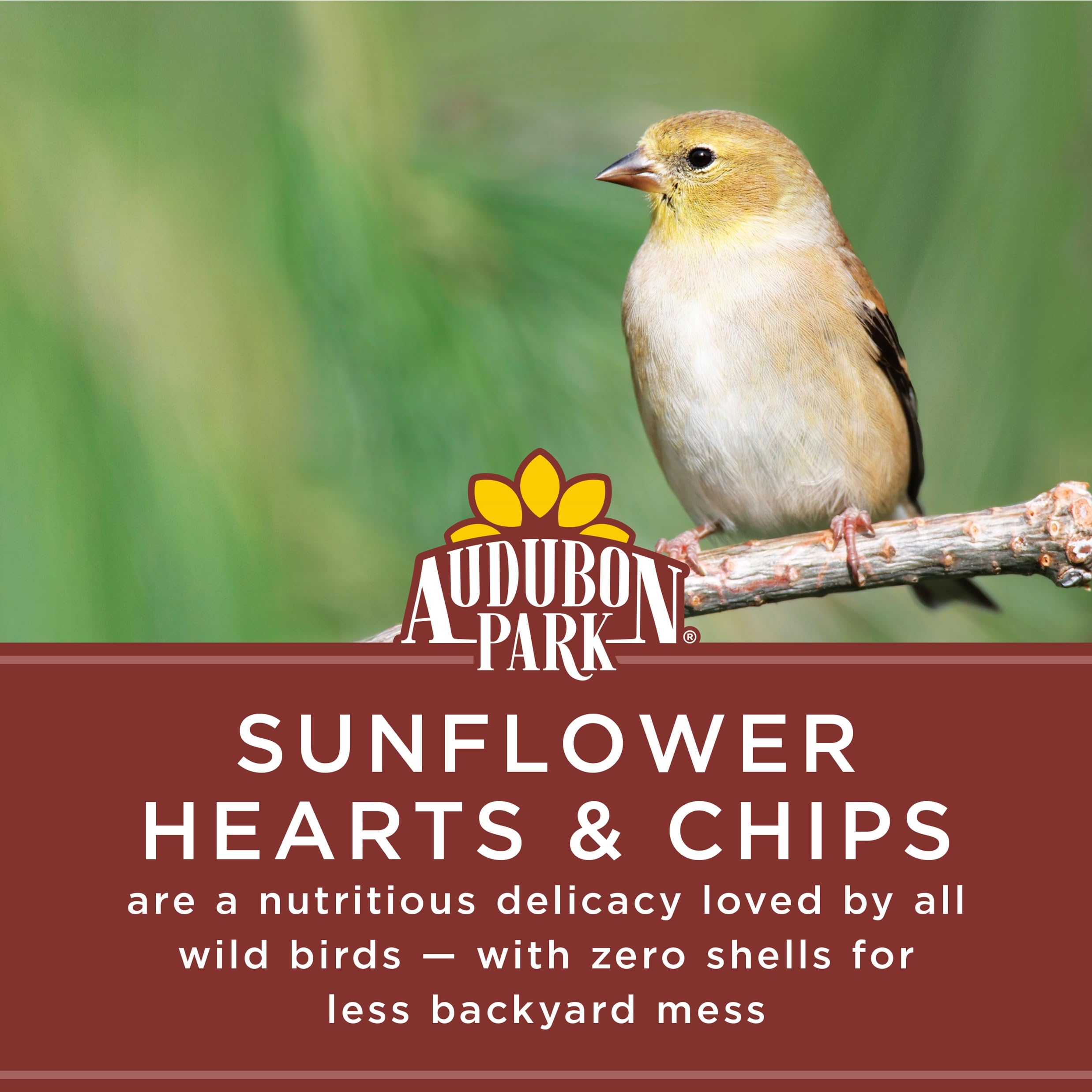Back of Audubon Park sunflower hearts bag with ingredient details