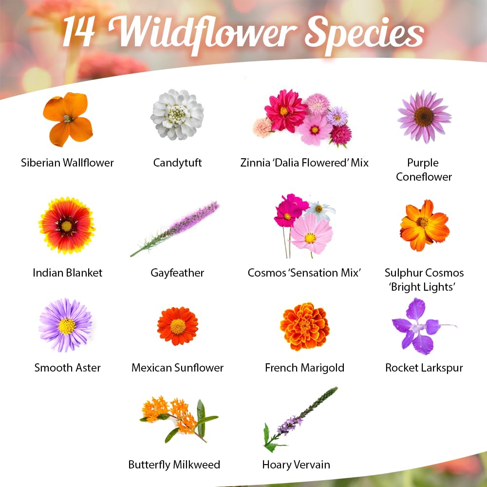 Back of Beauty Beyond Belief Milkweed Mix seeds packet