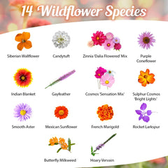Back of Beauty Beyond Belief Milkweed Mix seeds packet