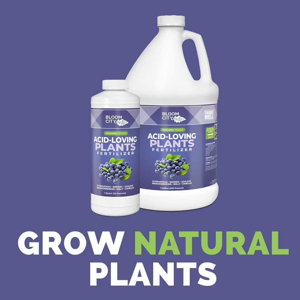 Back of Bloom City Acid-Loving Plant Fertilizer bottle with safety instructions