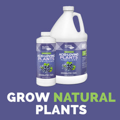 Back of Bloom City Acid-Loving Plant Fertilizer bottle with safety instructions