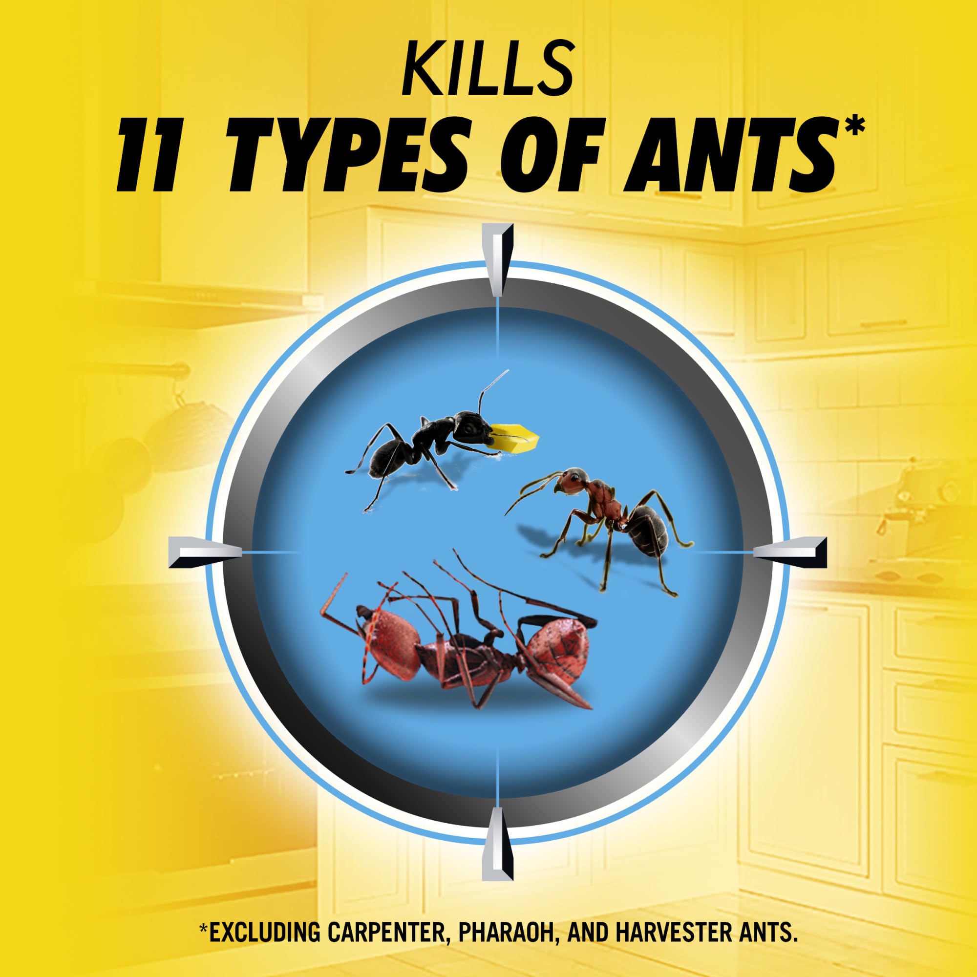 Back of Combat Max 2in1 Ant Bait Station packaging