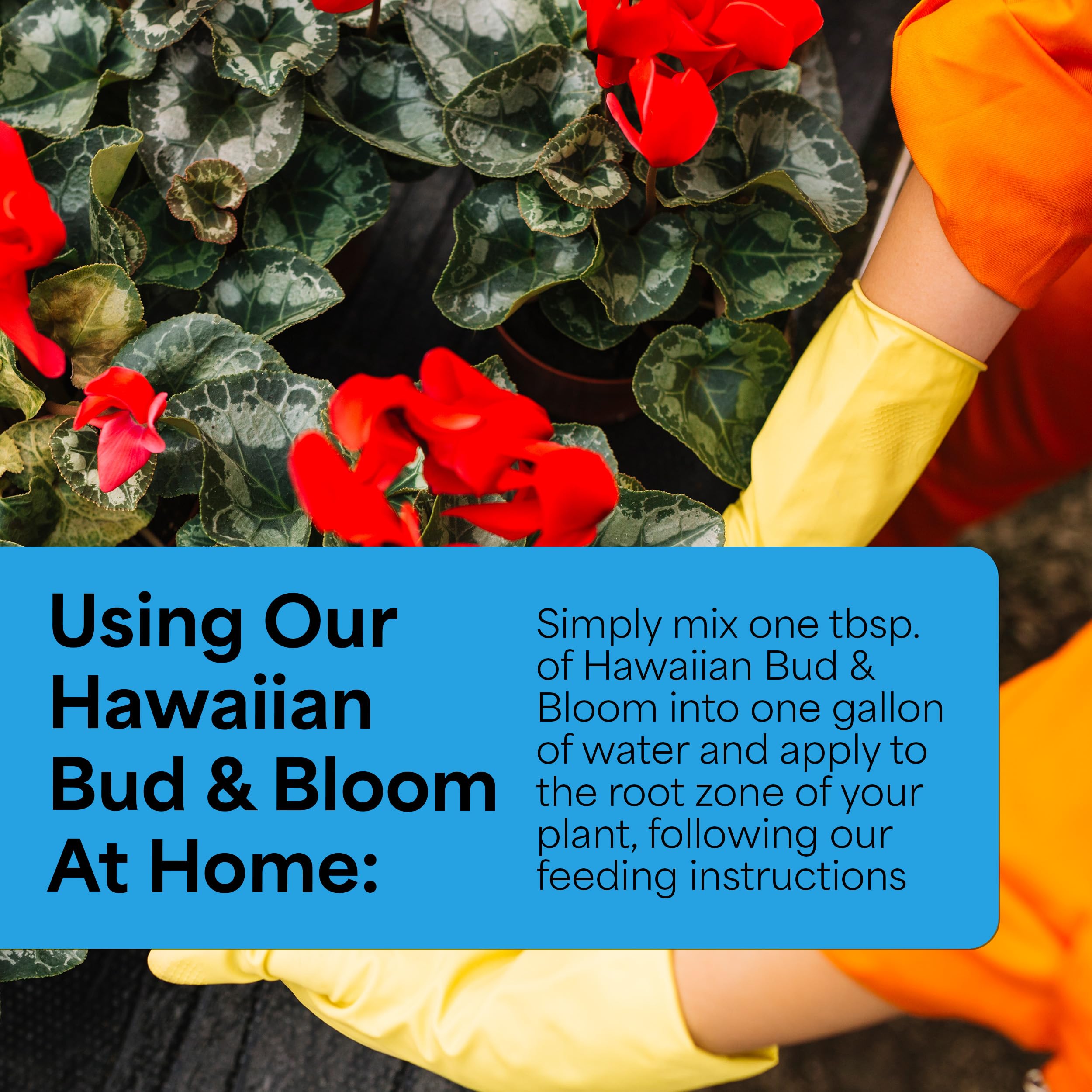 Back of Grow More Hawaiian Bud and Bloom Fertilizer packaging