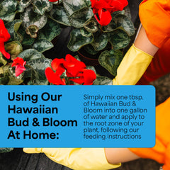Back of Grow More Hawaiian Bud and Bloom Fertilizer packaging
