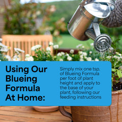 Back of Grow More Hydrangea Blueing Formula packaging with ingredient details