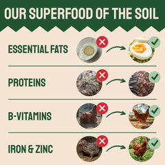 Back of Hatortempt Dried Mealworms packaging with ingredient list