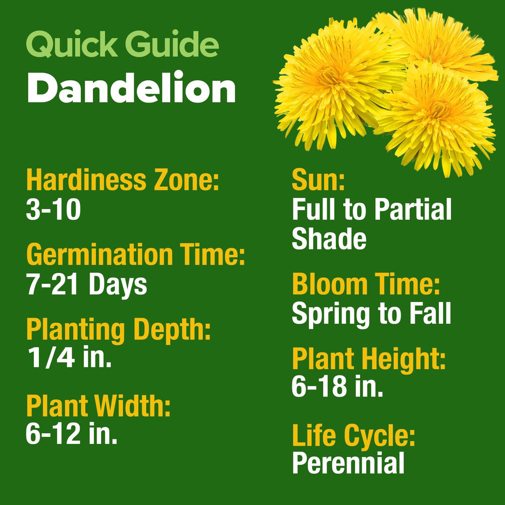 Back of HOME GROWN Dandelion Seeds pack showing seed details