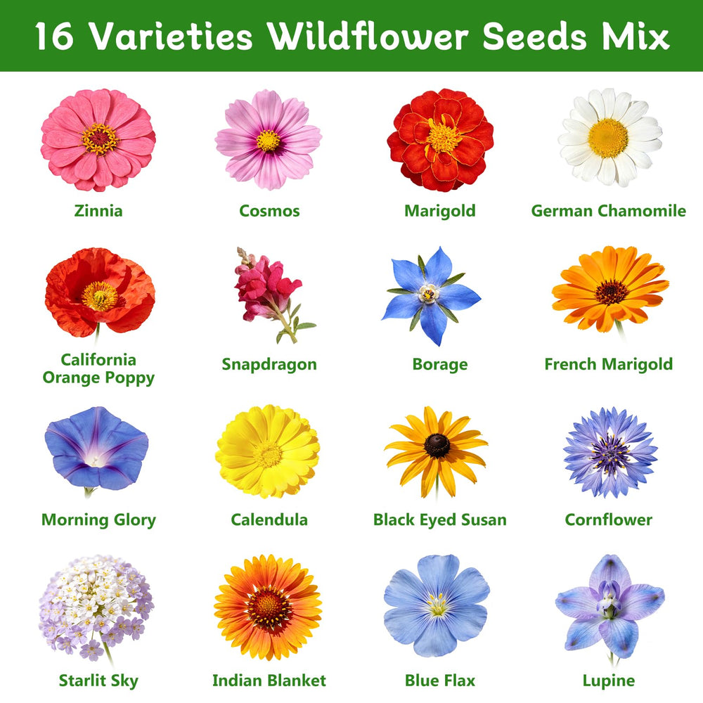 Back of LUOJIBIE Wildflower Seeds Mix packet showing planting instructions