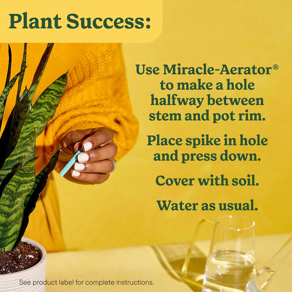 Back of Miracle-Gro Indoor Plant Food Spikes package with instructions