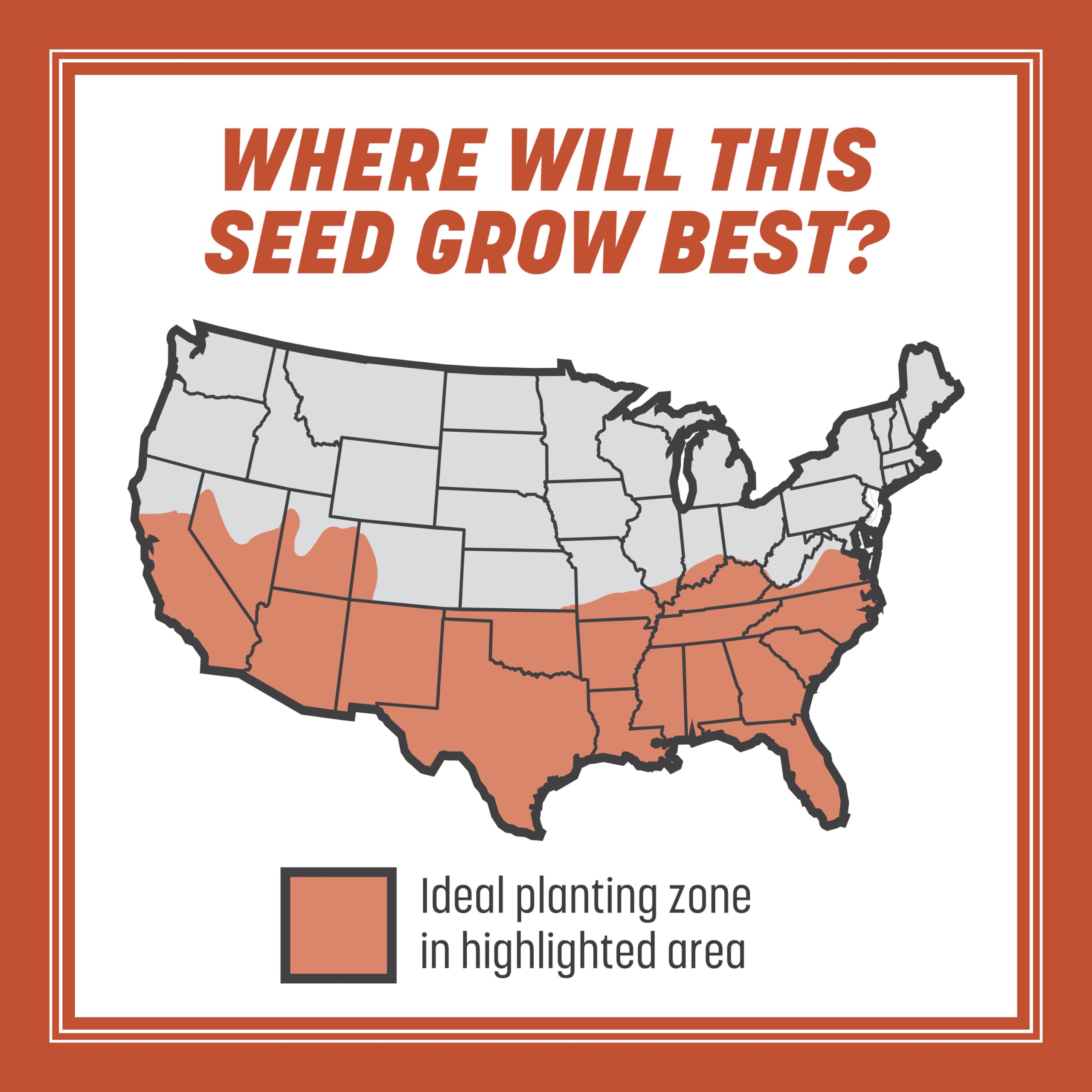 Back of Pennington Bermudagrass seeds packaging with instructions