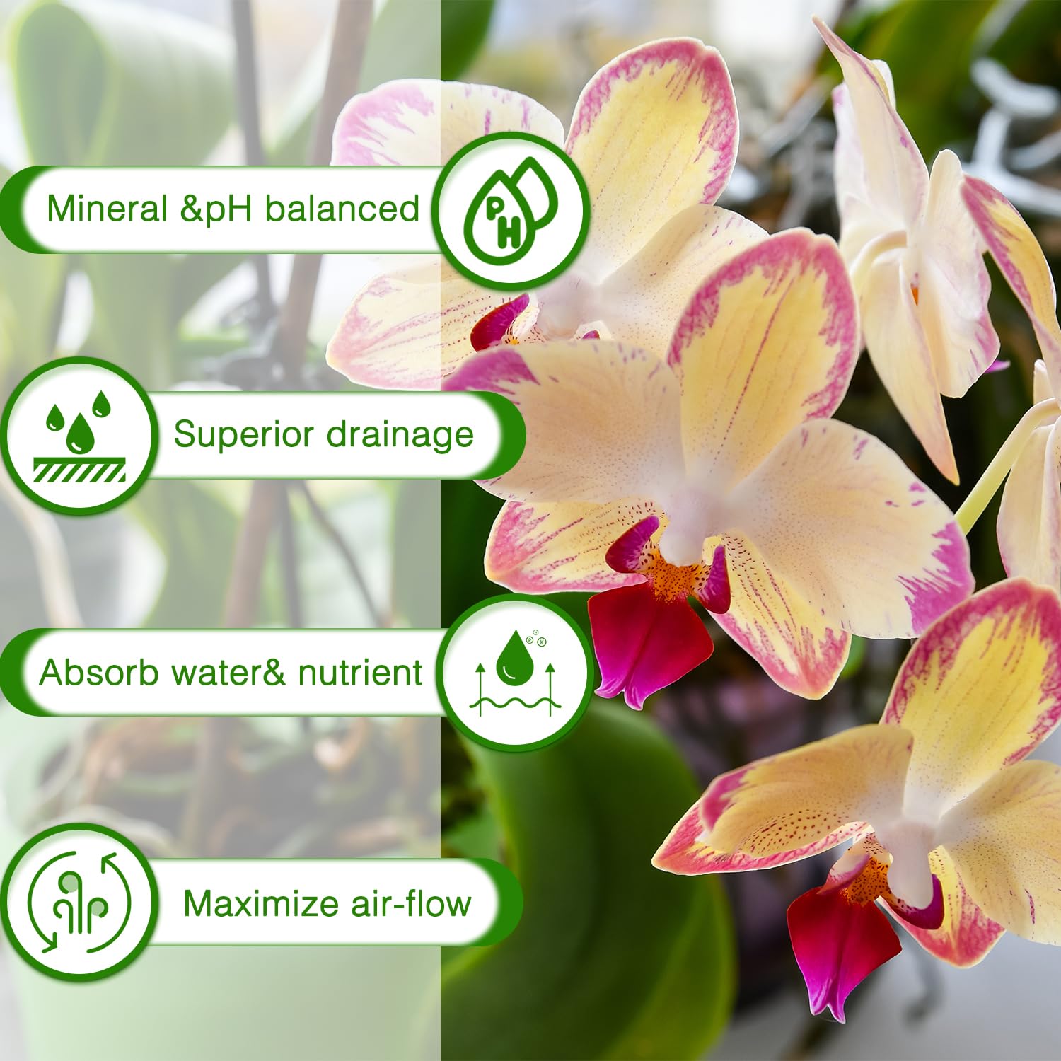 Back of POLIUMB Orchid Bark Potting Mix packaging