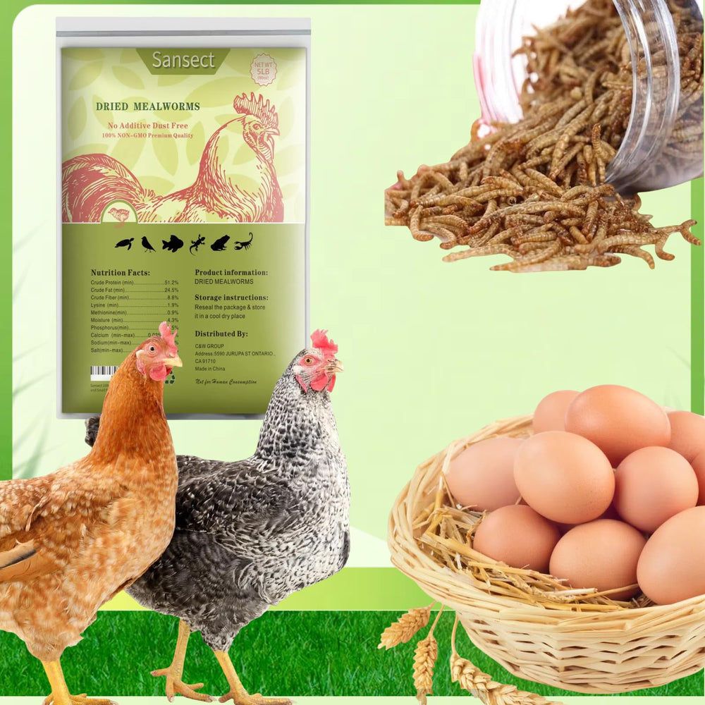 Back of SANSECT Dried Mealworms packaging with nutritional info