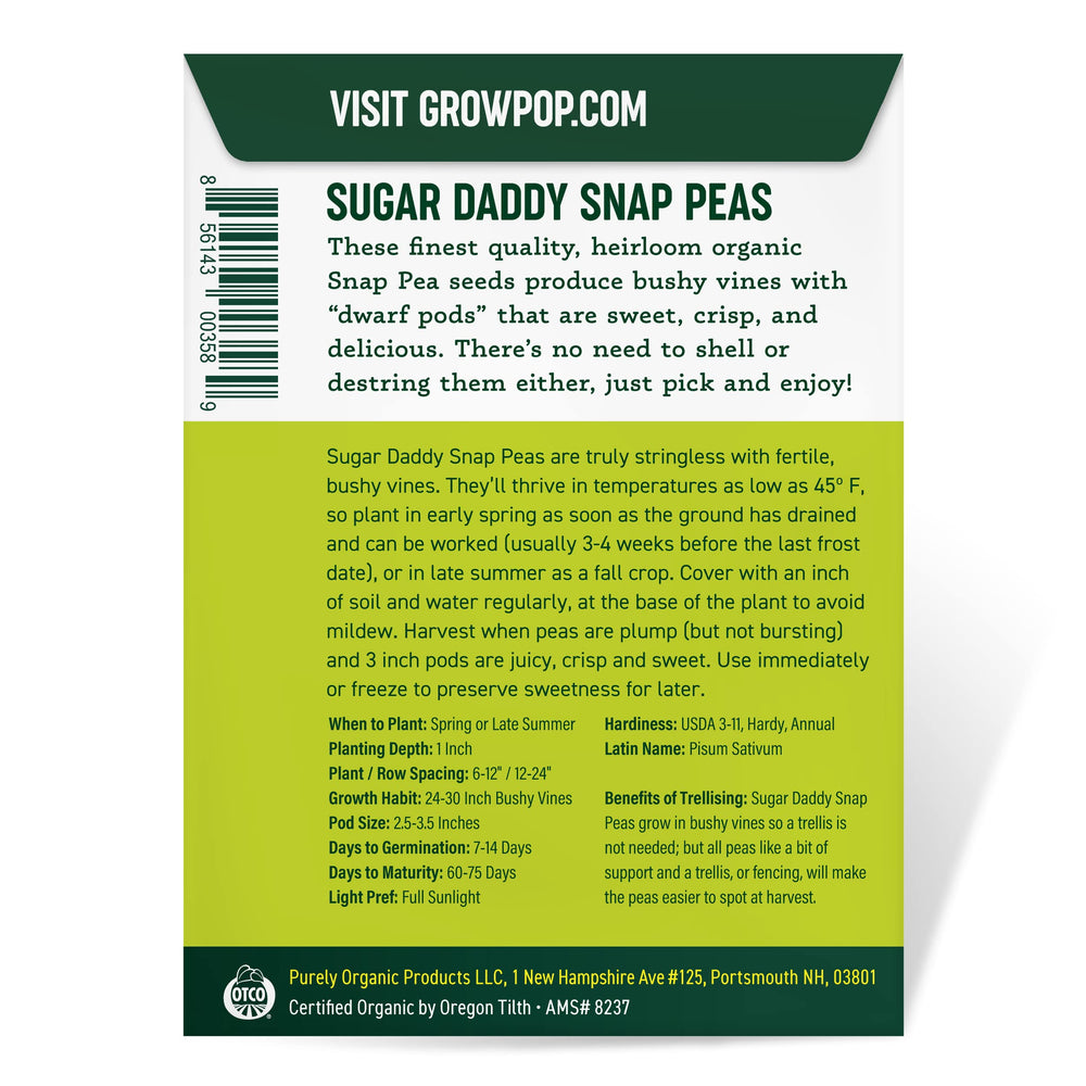 Back of Sugar Daddy Snap Pea Seeds packet with planting instructions