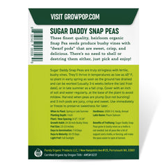 Back of Sugar Daddy Snap Pea Seeds packet with planting instructions
