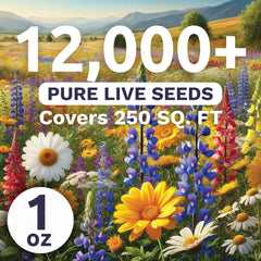 Back of SWEET YARDS Southeast Regional Mix wildflower seeds packet with instructions