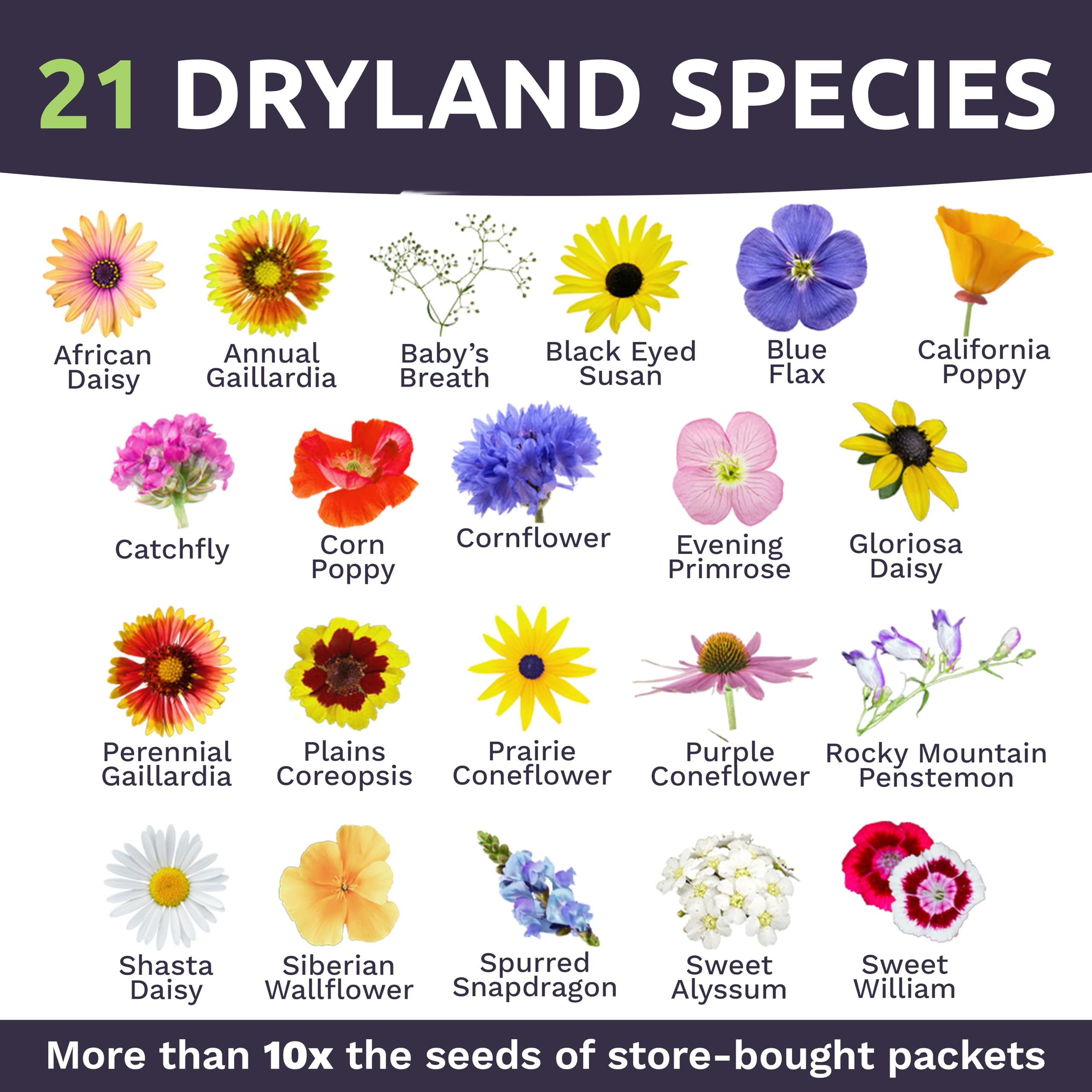 Back of SWEET YARDS wildflower seeds packet with planting instructions