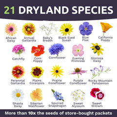 Back of SWEET YARDS wildflower seeds packet with planting instructions